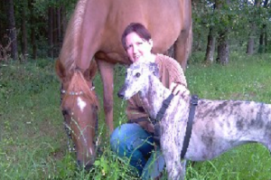 Windhunde_und_Pferde_bild1